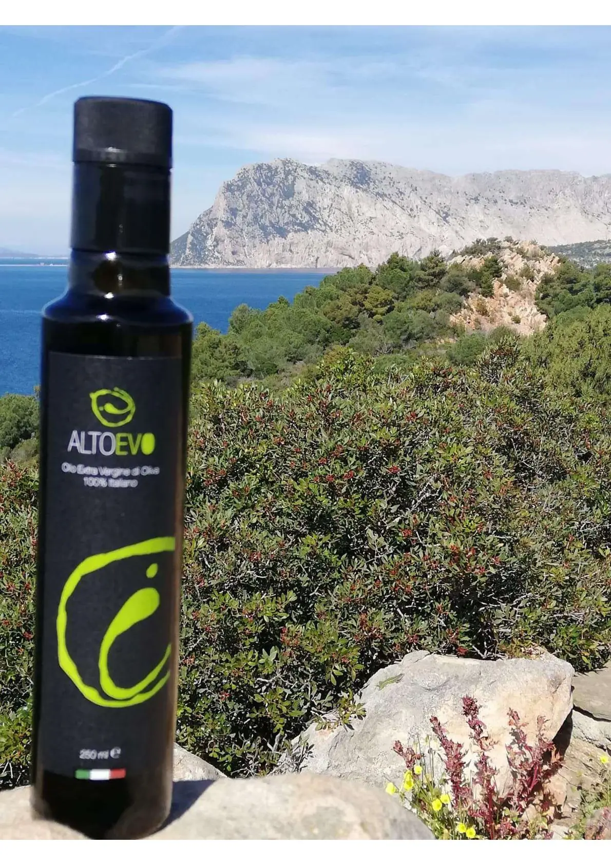 Altoevo Flasche in der Macchia vor der Insel Tavolara